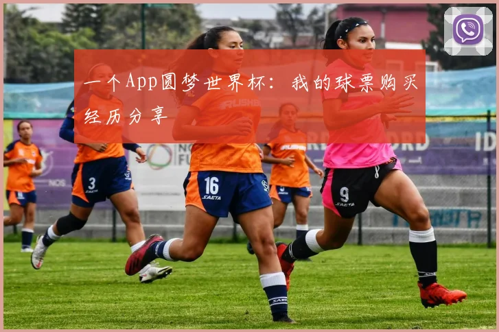 一个App圆梦世界杯：我的球票购买经历分享