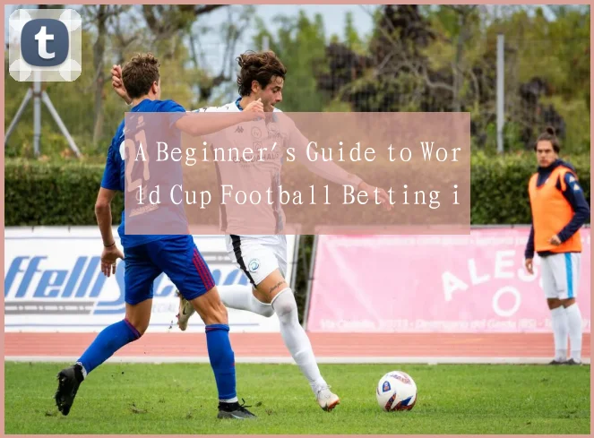 A Beginner's Guide to World Cup Football Betting i