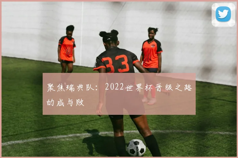 聚焦瑞典队：2022世界杯晋级之路的成与败