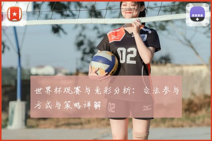世界杯观赛与竞彩分析:合法参与方式与策略详解