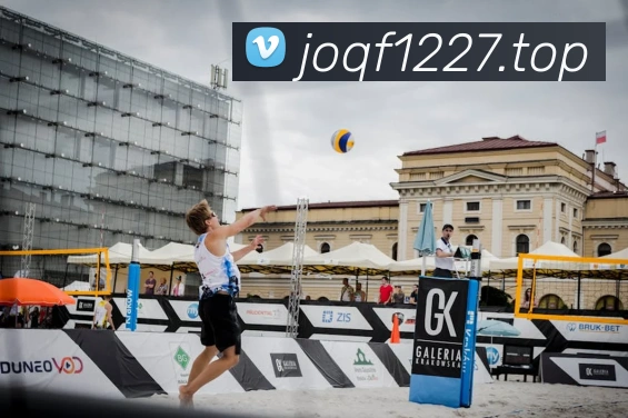 开云官方在线登陆入口APP 封面图